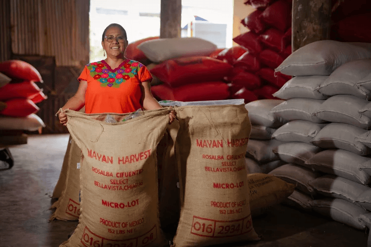 Rosalba Cifuentes — productora de café de especialidad en Bellavista, Chiapas